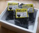 十三湖冷凍しじみ貝1kg