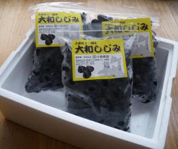 十三湖冷凍しじみ貝1kg