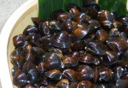 特大しじみ(夏限定)